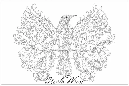 Tūī, a line drawing to colour