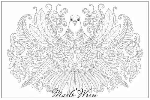 Kererū, a line drawing to colour