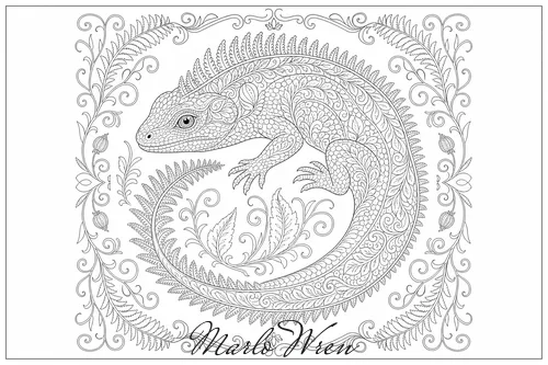Tuatara, a line drawing to colour