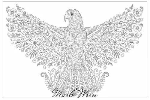 Kea, a line drawing to colour