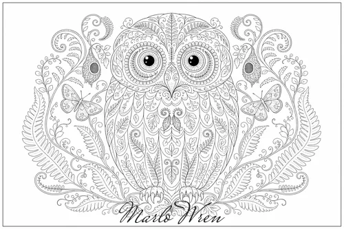 Ruru, a line drawing to colour